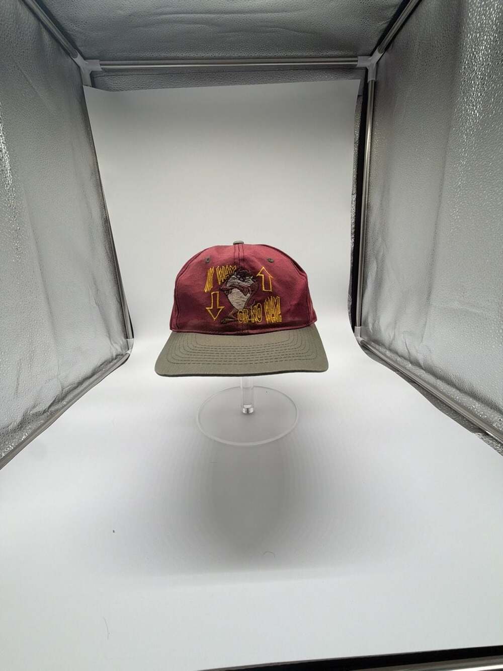 Looney Tunes Taz Tasmanian Devil Snapback Hat Red Green Vintage